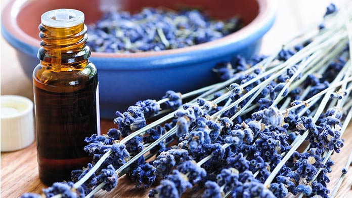 Aromatherapy Business Image