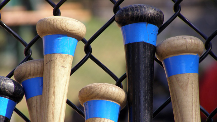 Batting Cage Business Image