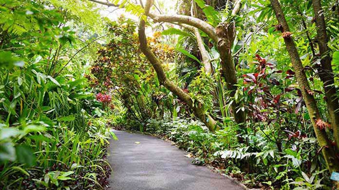 Botanical Garden Business Image