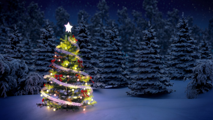 Christmas Tree Farm Image