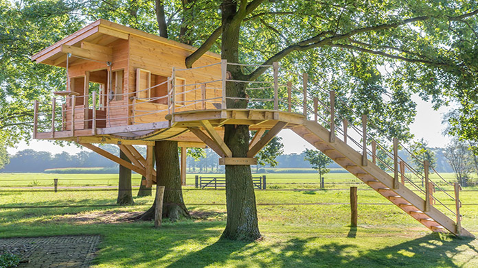 Custom Treehouse Business Image