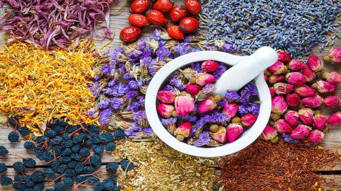 Dried Flower Business Image