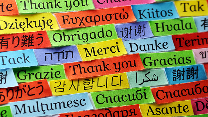 Foreign Language Instruction Business Image