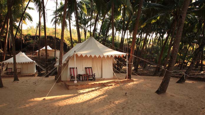 Glamping Business Image