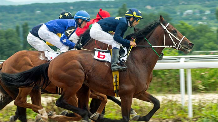 Horse Derby Business Image