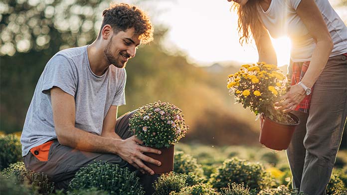 Horticultural Therapy Image