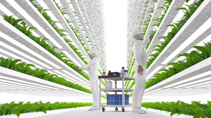 Hydroponics Store Image