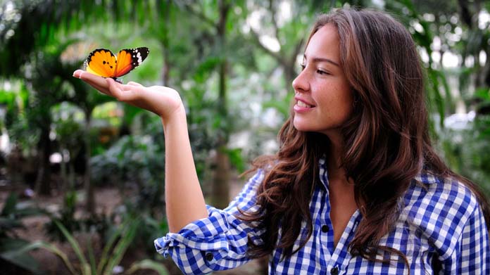 Insect Farm Image