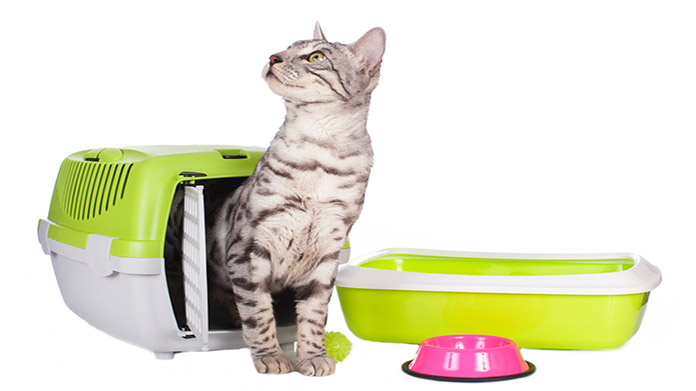 Kennel Business Image