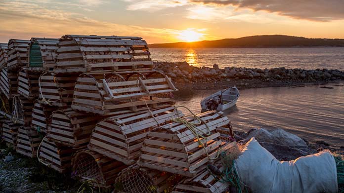 Lobster Fishing Business Image