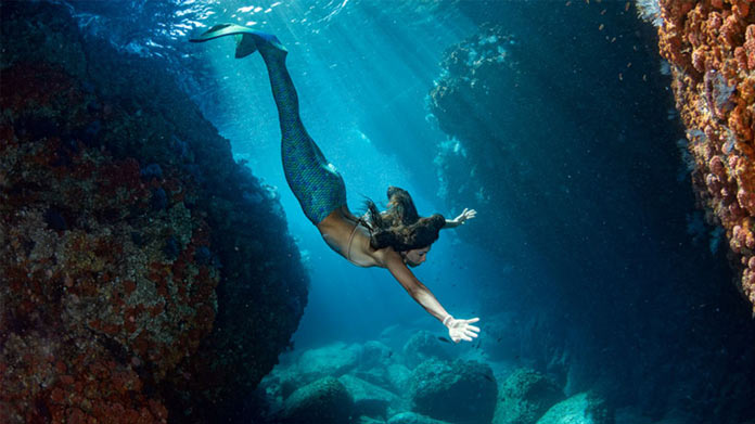 Mermaid Business Image