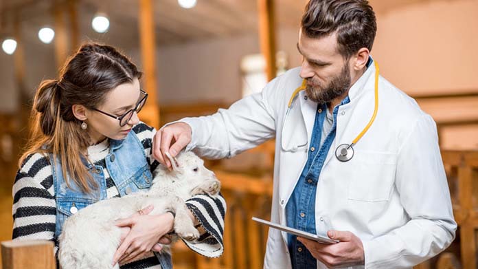 Mobile Vet Business Image