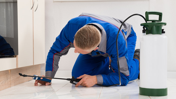 Pest Control Service Image