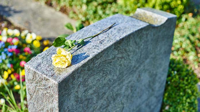 Pet Cemetery Business Image