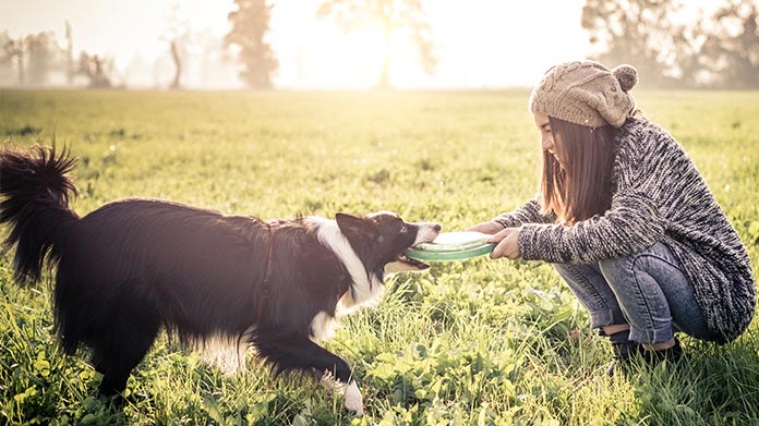 Pet-Sitting Business Image