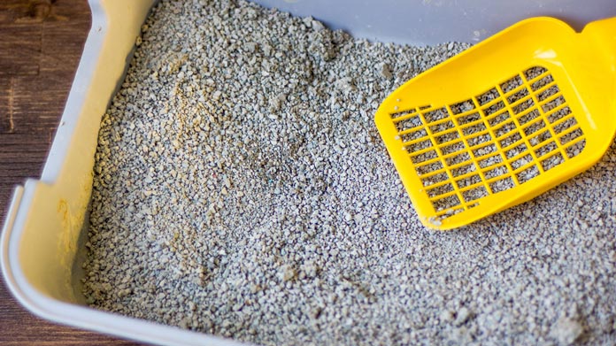 Pet Waste Removal Business Image