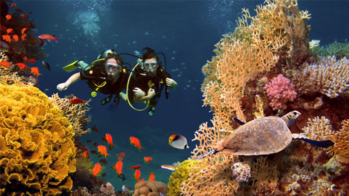 Scuba Diving Business Image