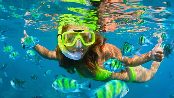 Snorkeling Business Image
