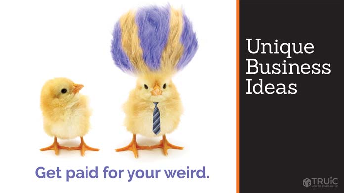 A baby chick looking at a different chick with wild purple-striped hair with the caption "get paid for your weird idea"