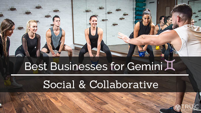 Gemini Business Ideas Image.