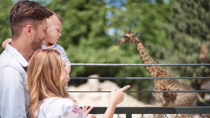 Zoo Business Image