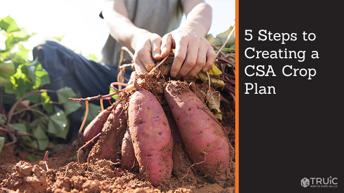 5 Steps to Creating a CSA Crop Plan image.