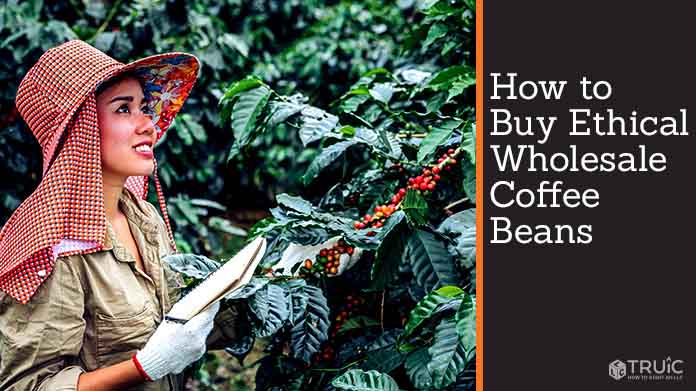 person sourcing ethical wholesale coffee beans