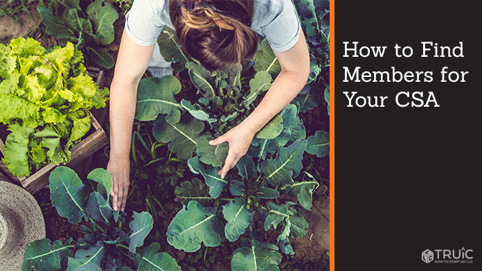 How to Find Members for Your CSA image.