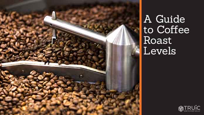 coffee beans roasted at different roast levels