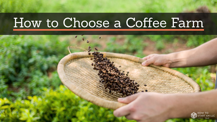 farmer working in his coffee farm