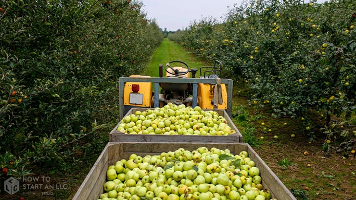 The Purchasing Guide for Starting a Orchard Purchasing Image