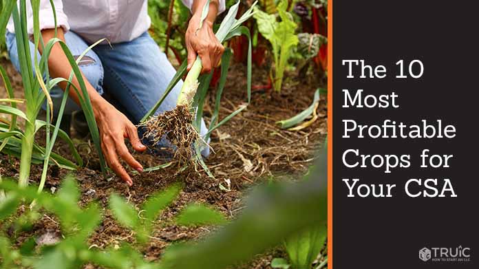 The 10 Most Profitable Crops for your CSA image.