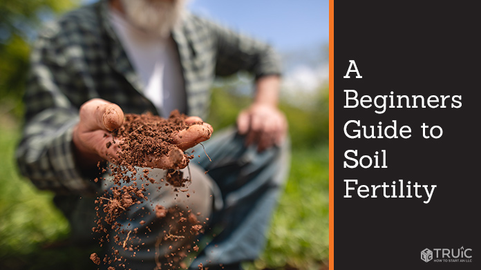 A Beginners Guide to Soil Fertility image.
